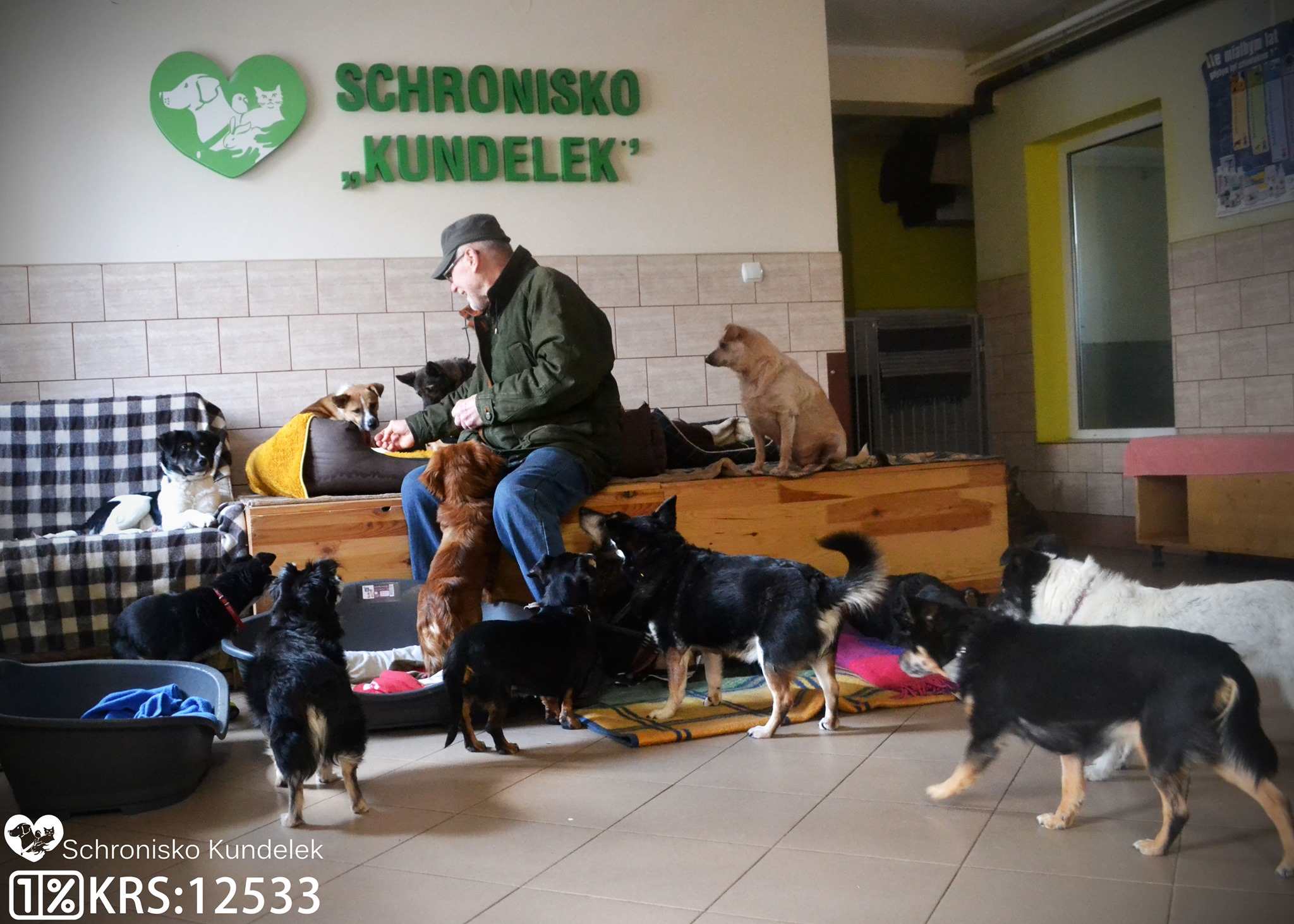 Rzeszów Schronisko Kundelek Ciepłownicza 3 Wirtualna adopcja - Schronisko Kundelek