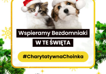 Charytatywna Choinka