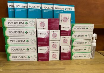 Dziękujemy Firmie JM SANTE PHARMA